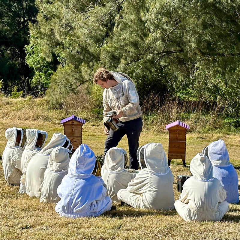 Hunter Lavender Farm Honey Harvest Experience Sydney and Hunter Valley NSW