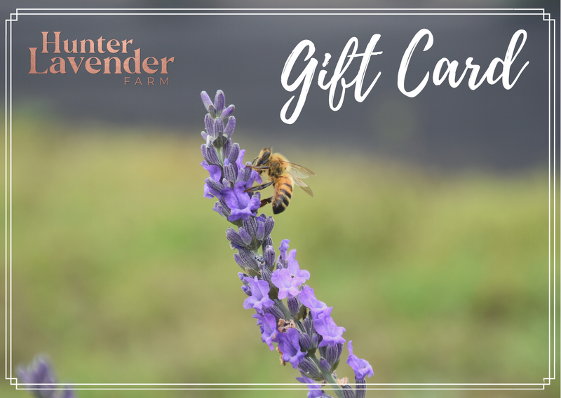 Lavender eGift Card